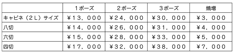 岡山 写真イガラシ 基本撮影 価格表